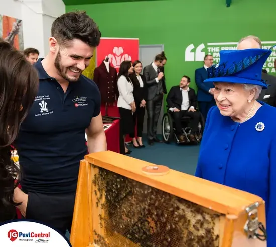 Peter Higgs of Beegone Live Bee Removal showing honeybees to Queen Elizabeth II
